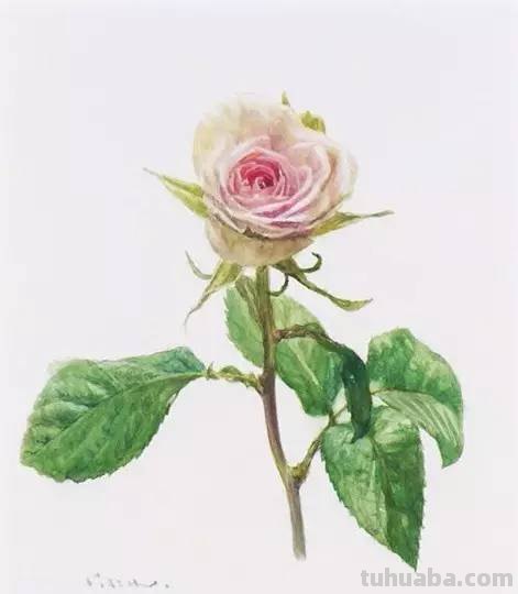 水彩画家的人物作品，让人膜拜