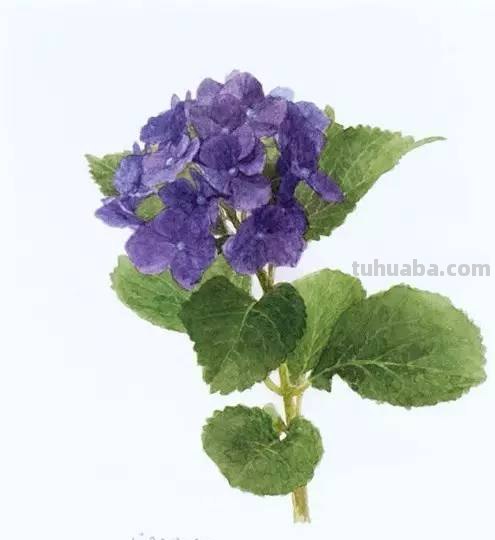 水彩画家的人物作品，让人膜拜