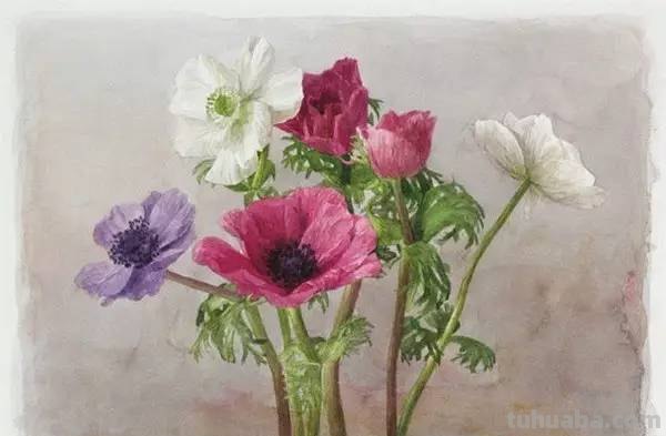 水彩画家的人物作品，让人膜拜