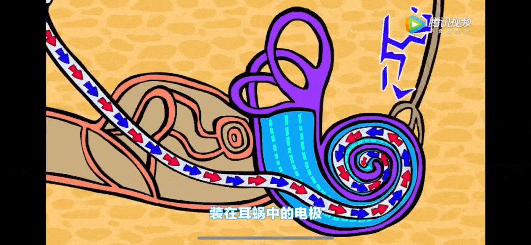 想让孩子头脑灵活，就带他看这几部动画片，锻炼孩子的思维能力
