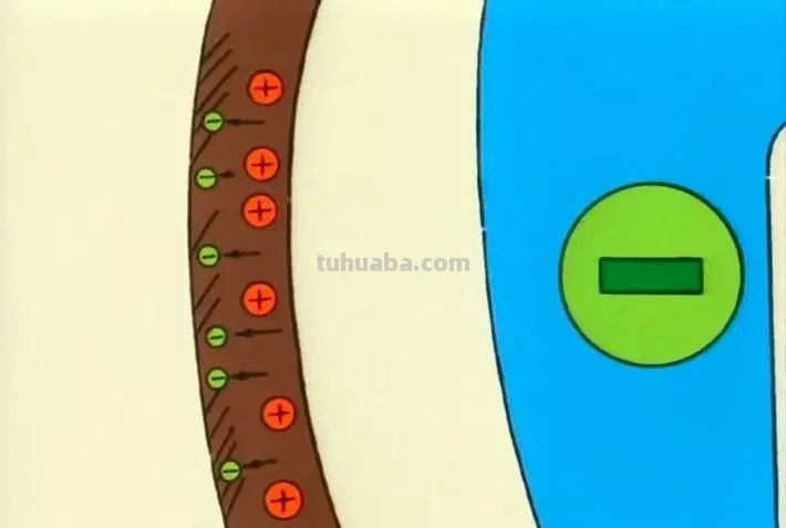 想让孩子头脑灵活，就带他看这几部动画片，锻炼孩子的思维能力