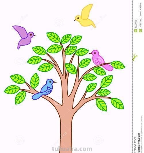大树简笔画怎么画 简笔画学画大树小鸟？