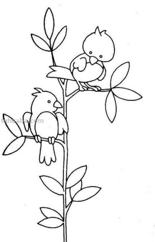 大树简笔画怎么画 简笔画学画大树小鸟？