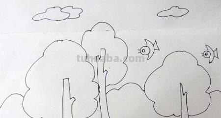 大树简笔画怎么画 简笔画学画大树小鸟？