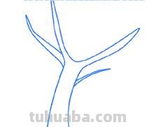 大树简笔画怎么画 简笔画学画大树小鸟？