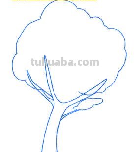 大树简笔画怎么画 简笔画学画大树小鸟？