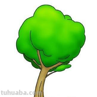大树简笔画怎么画 简笔画学画大树小鸟？