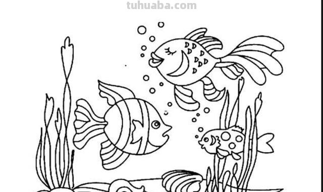 大树简笔画怎么画 简笔画学画大树小鸟？