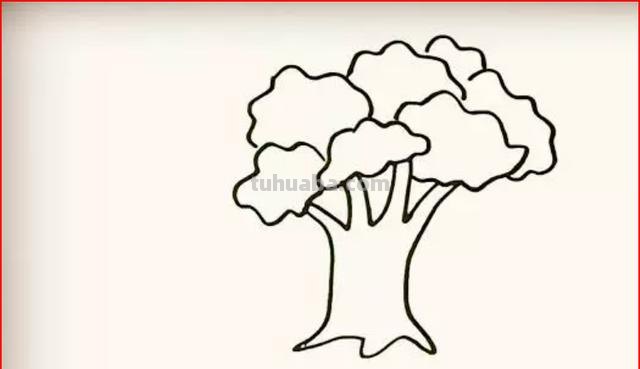大树简笔画怎么画 简笔画学画大树小鸟？
