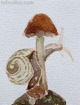 色彩蜗牛——用色彩带你领略蜗牛的美丽 