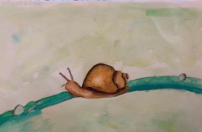 色彩蜗牛——用色彩带你领略蜗牛的美丽 