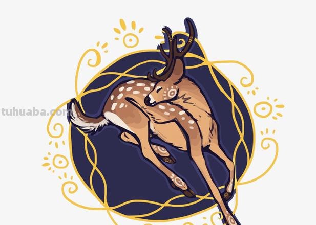 用色彩鹿图片及色彩鹿图案设计打造独特风格的设计元素