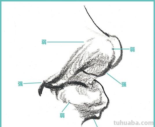 速写嘴透视 五官速写技巧口诀？