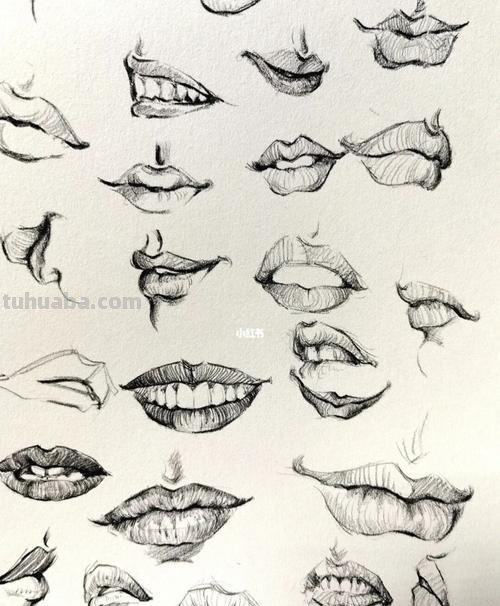 速写嘴透视 五官速写技巧口诀？