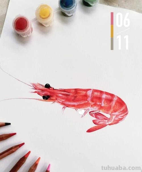 用彩铅怎么画虾子 虾卡通画?