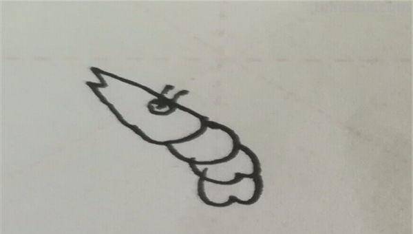 用彩铅怎么画虾子 虾卡通画? 用彩铅怎么画虾子 虾卡通画?