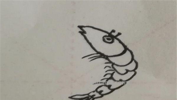 用彩铅怎么画虾子 虾卡通画? 用彩铅怎么画虾子 虾卡通画?