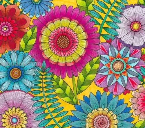 色彩丰富，涂画世界更美丽 