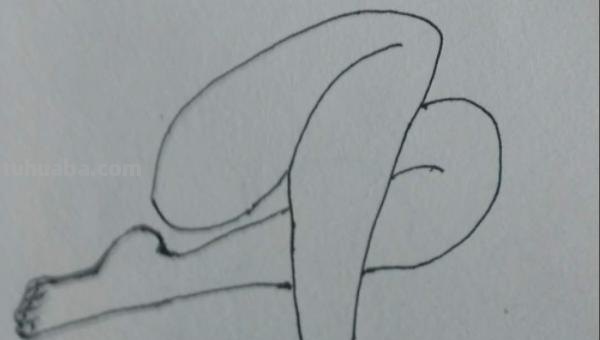 足怎么画简笔画 脚印简笔画怎么画？