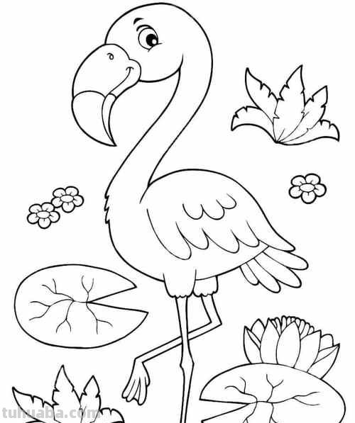 火烈鸟简笔画 火烈鸟简笔画卡通可爱