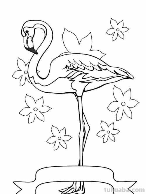 火烈鸟简笔画 火烈鸟简笔画卡通可爱