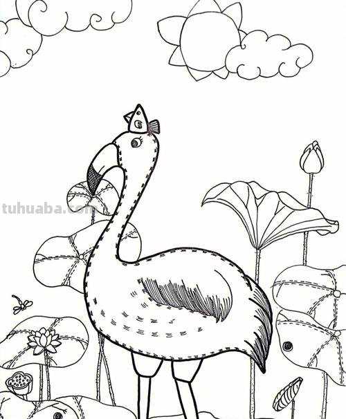 火烈鸟简笔画 火烈鸟简笔画卡通可爱