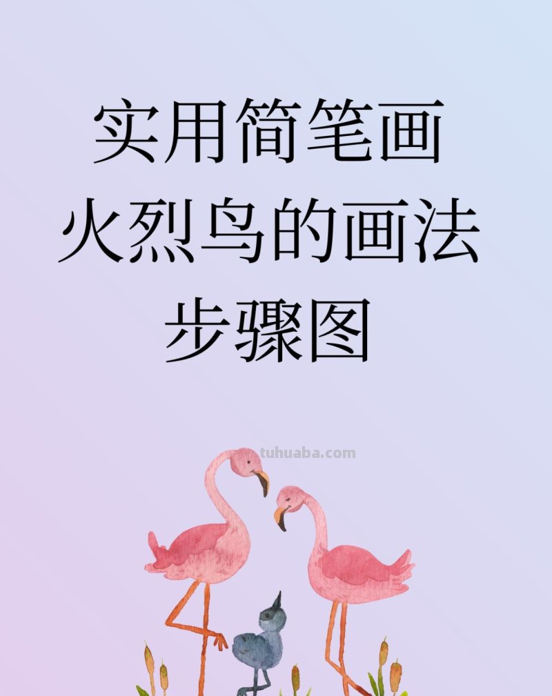 实用简笔画火烈鸟的画法步骤图 实用简笔画火烈鸟的画法步骤图