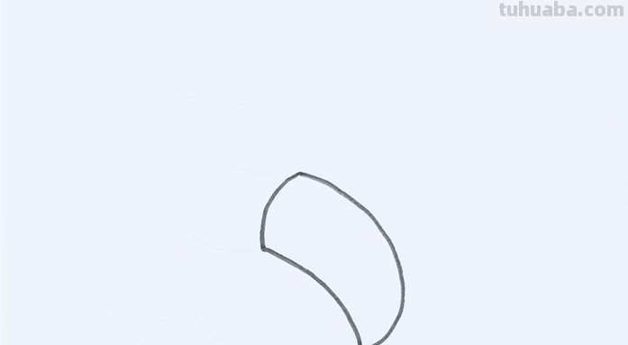 qq红包中的火烈鸟怎么画? qq红包中的火烈鸟怎么画?