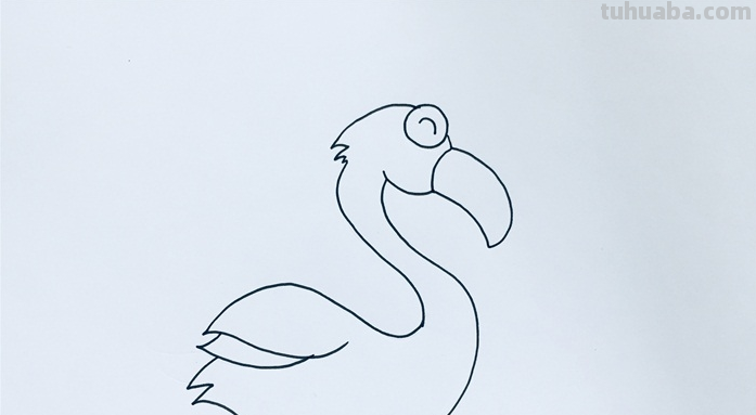 qq红包中的火烈鸟怎么画? qq红包中的火烈鸟怎么画?