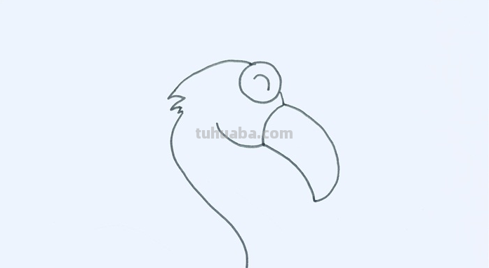 qq红包中的火烈鸟怎么画? qq红包中的火烈鸟怎么画?