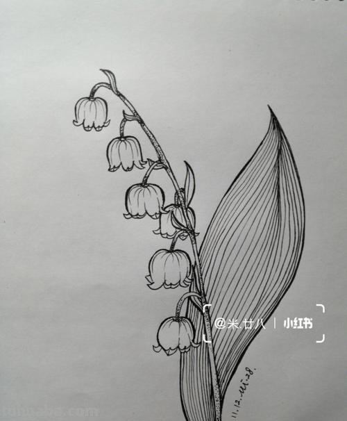 铃兰简笔画 铃兰简笔画图片