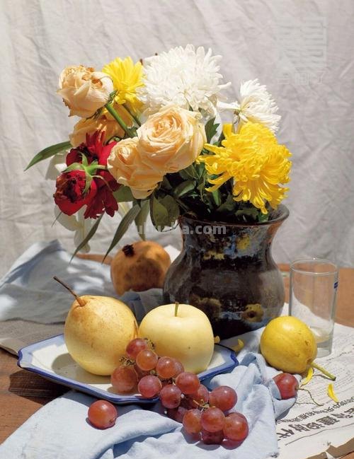 花卉色彩静物：用相机记录自然之美 