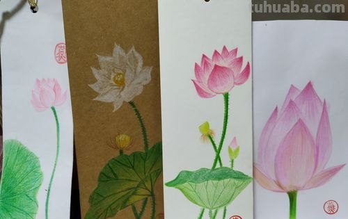 书签边框彩铅怎么画 读书节的书签怎样画好看？