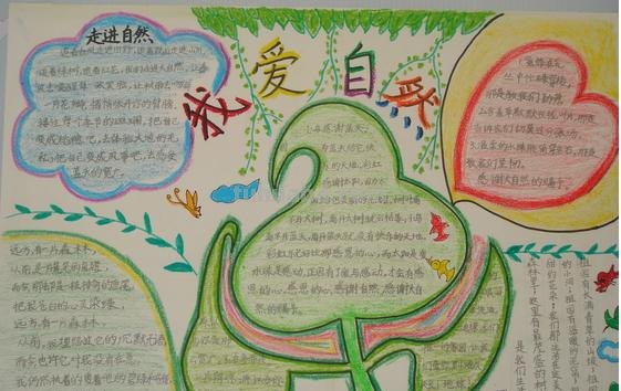 纸的手抄报怎么画 5到6年级用什么纸画手抄报？