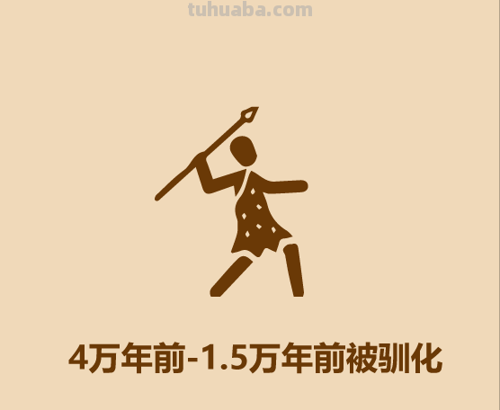 30秒认识宠物狗