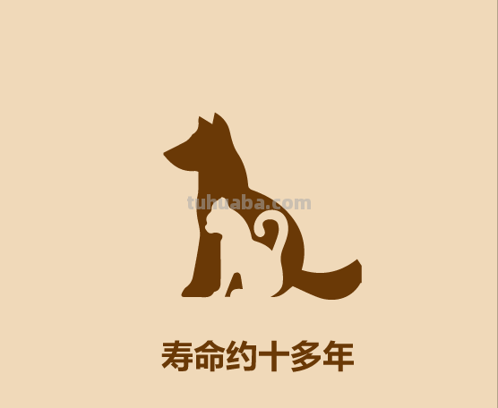 30秒认识宠物狗