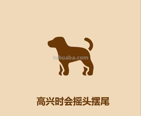 30秒认识宠物狗