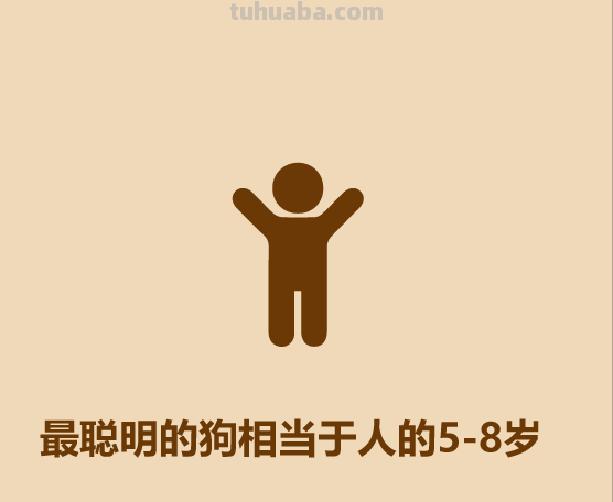 30秒认识宠物狗