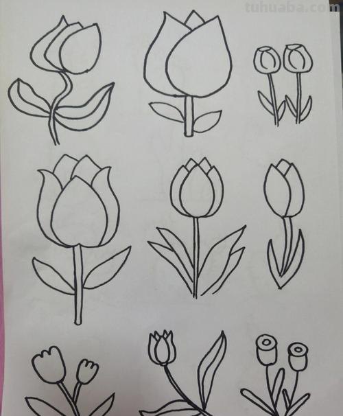 植物简笔画. 简单