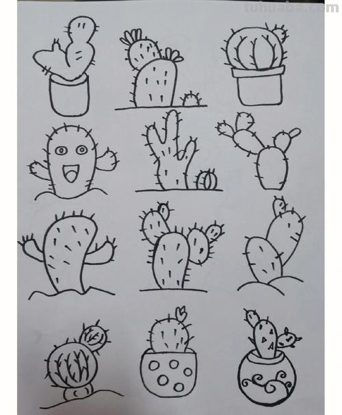 植物简笔画. 简单