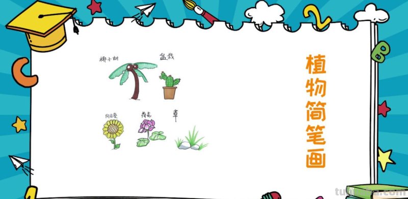 植物简笔画. 简单