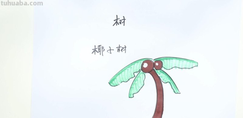 植物简笔画. 简单