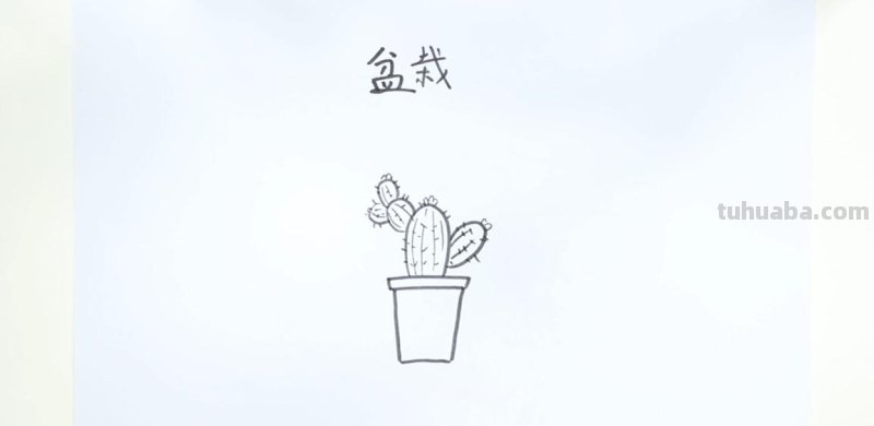 植物简笔画. 简单