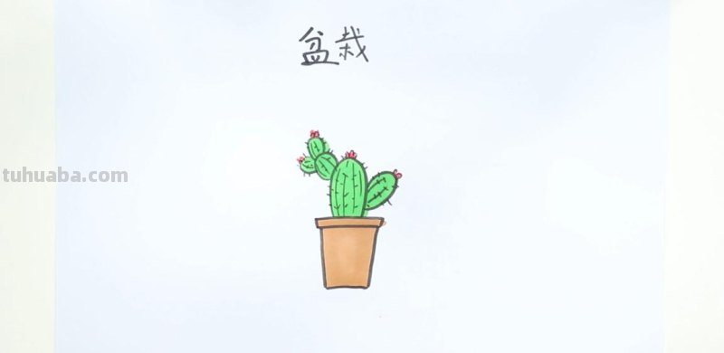 植物简笔画. 简单