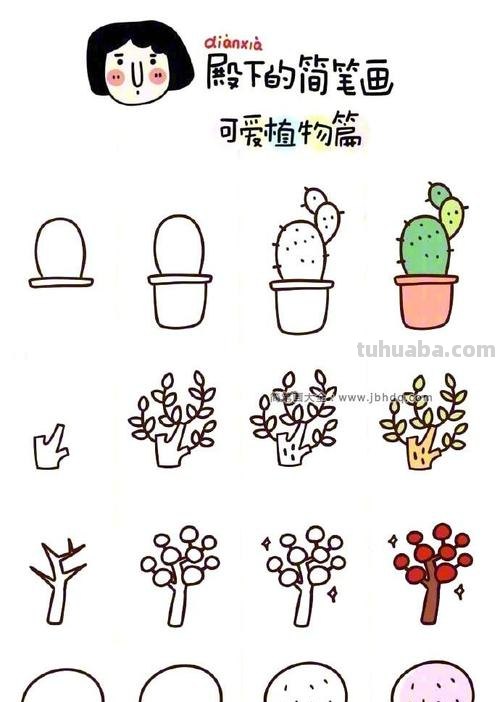 植物简笔画步骤 ​​​