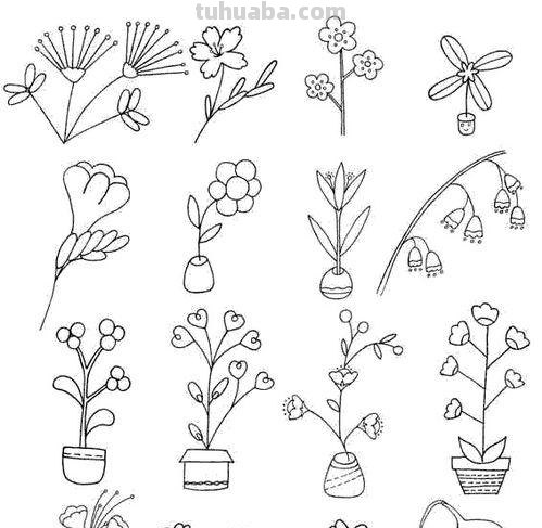 植物简笔画步骤 ​​​