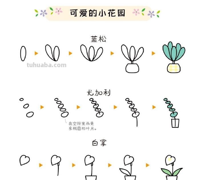 植物简笔画步骤 ​​​
