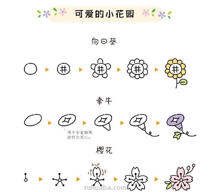 植物简笔画步骤 ​​​