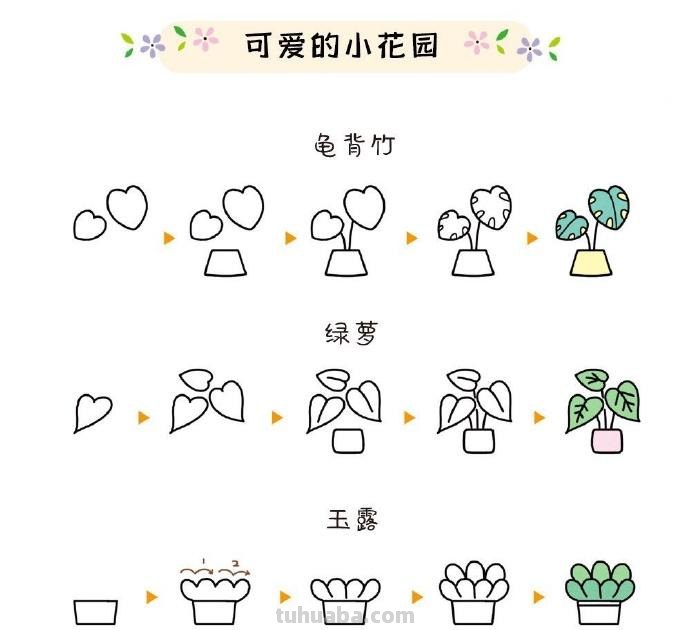 植物简笔画步骤 ​​​