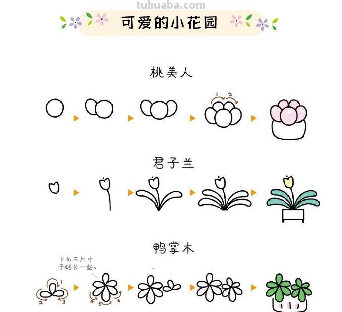 植物简笔画步骤 ​​​